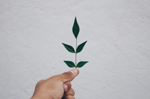 ขันธ์ 5 สรุป เจตสิก สังขาร