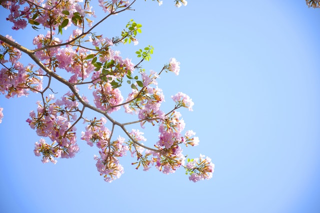 วิถีชีวิตของคนมีอารยธรรม